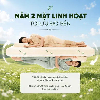 Nệm cao su đa tầng Gummi Lite giá tốt dày 10cm - Ảnh 9