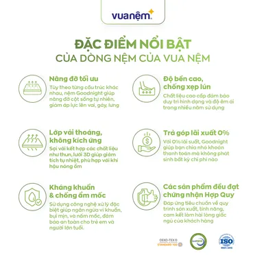 Nệm cao su đa tầng Gummi Lite giá tốt dày 10cm - Ảnh 6