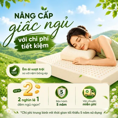 Nệm cao su đa tầng Gummi Lite giá tốt dày 10cm - Ảnh 10