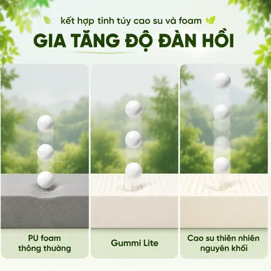 Nệm cao su đa tầng Gummi Lite giá tốt dày 10cm - Ảnh 6