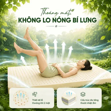 Nệm cao su đa tầng Gummi Lite giá tốt dày 10cm - Ảnh 8