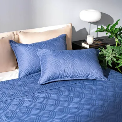 Bộ chăn chần, vỏ gối Microfiber mềm mại, kháng khuẩn Amando Luna 3 chi tiết - Ảnh 14