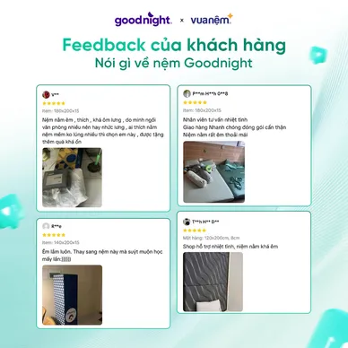 Nệm foam Goodnight Massage 2.0 (Hachi) giảm áp lực dày 15cm - Ảnh 9