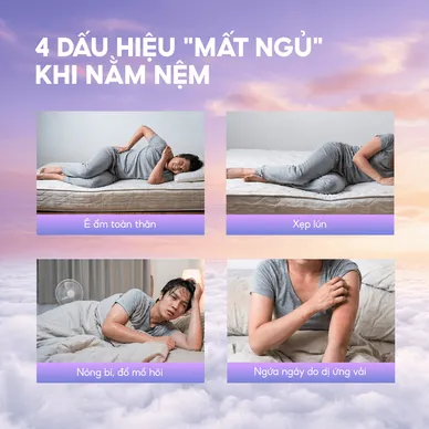 Nệm foam Goodnight Massage 2.0 (Hachi) giảm áp lực dày 15cm - Ảnh 4