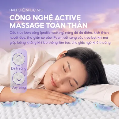 Nệm foam Goodnight Massage 2.0 (Hachi) giảm áp lực dày 15cm - Ảnh 5