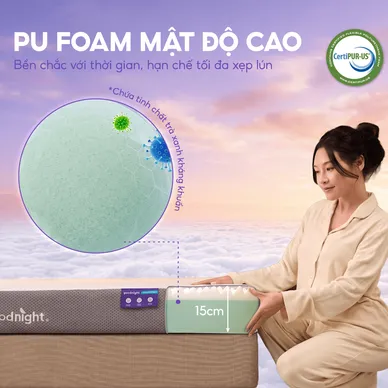 Nệm foam Goodnight Massage 2.0 (Hachi) giảm áp lực dày 15cm - Ảnh 8