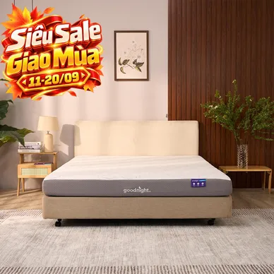 Nệm foam Goodnight Massage 2.0 (Hachi) giảm áp lực dày 15cm - Ảnh 10