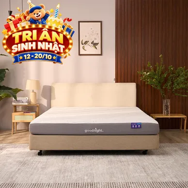 Nệm foam Goodnight Massage 2.0 (Hachi) giảm áp lực dày 15cm - Ảnh 10