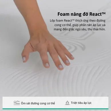 (Phiên bản giới hạn) Nệm foam Bedgear S3 Sport phục hồi năng lượng - Ảnh 8
