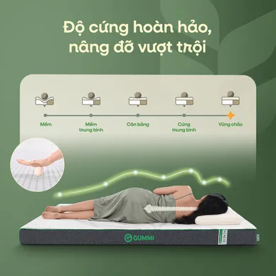 Nệm cao su thiên nhiên Gummi Premium detox giấc ngủ - Ảnh 8