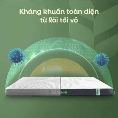 Nệm cao su thiên nhiên Gummi Premium detox giấc ngủ - Ảnh 12