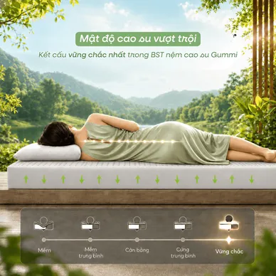 Nệm cao su thiên nhiên Gummi Premium detox giấc ngủ - Ảnh 9