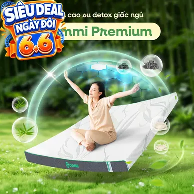 Nệm cao su thiên nhiên Gummi Premium detox giấc ngủ - Ảnh 2