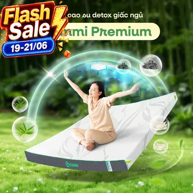 Nệm cao su thiên nhiên Gummi Premium detox giấc ngủ - Ảnh 2