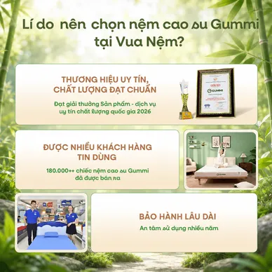 Nệm cao su thiên nhiên Gummi Premium detox giấc ngủ - Ảnh 16