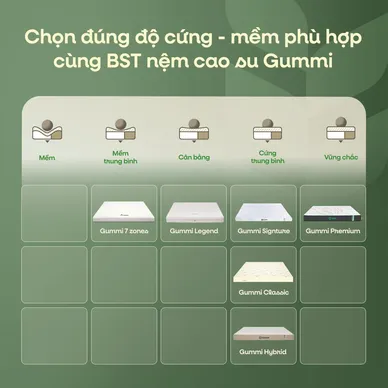 Nệm cao su thiên nhiên Gummi Premium detox giấc ngủ - Ảnh 10