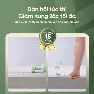 Nệm cao su thiên nhiên Gummi Premium detox giấc ngủ - Ảnh 11