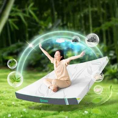 Nệm cao su thiên nhiên Gummi Premium detox giấc ngủ - Ảnh 2