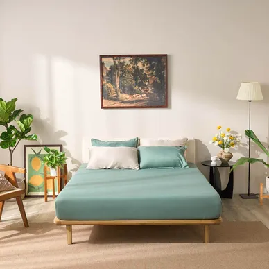 Bộ ga chun micro satin Amando Cozy 3 chi tiết - Ảnh 3