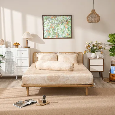 Bộ ga chun sợi gỗ thiên nhiên tencel Amando Aleena 4 chi tiết - Ảnh 34