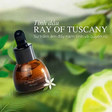 Tinh dầu Sasana Ray Of Tuscany - Ảnh 2