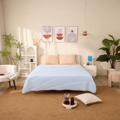 Chăn băng tuyết Amando Ice Silk mỏng nhẹ, giải nhiệt mùa hè - Ảnh 20