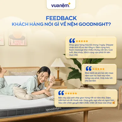 Nệm cao su đa tầng Goodnight Latex Hybrid (Rena) vững chắc, thông thoáng dày 10cm - Ảnh 11