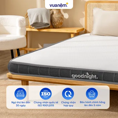 Nệm cao su đa tầng Goodnight Latex Hybrid (Rena) vững chắc, thông thoáng dày 10cm - Ảnh 10