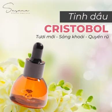 Tinh dầu Cristobol - Ảnh 2