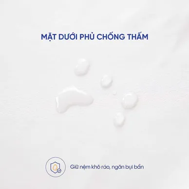 Ga chống thấm Goodnight Sumi mềm mại, kháng khuẩn, thông thoáng - Ảnh 8