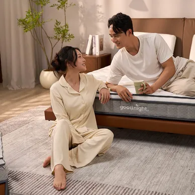 Nệm lò xo Goodnight SleepWave Hybrid (Sleep Wave 4.0) giảm tiếng ồn dày 20cm - Ảnh 4