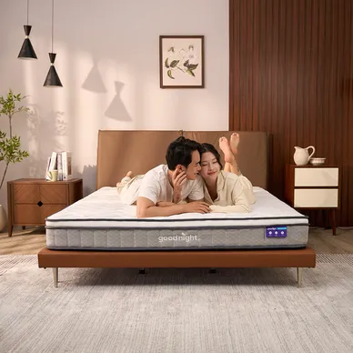Nệm lò xo Goodnight SleepWave Hybrid (Sleep Wave 4.0) giảm tiếng ồn dày 20cm - Ảnh 2