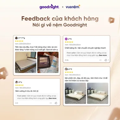 Nệm lò xo Goodnight SleepWave Hybrid (Sleep Wave 4.0) giảm tiếng ồn dày 20cm - Ảnh 5