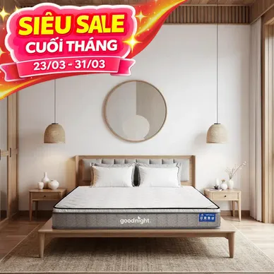 Nệm lò xo Goodnight SleepWave Hybrid (Sleep Wave 4.0) giảm tiếng ồn dày 20cm - Ảnh 2