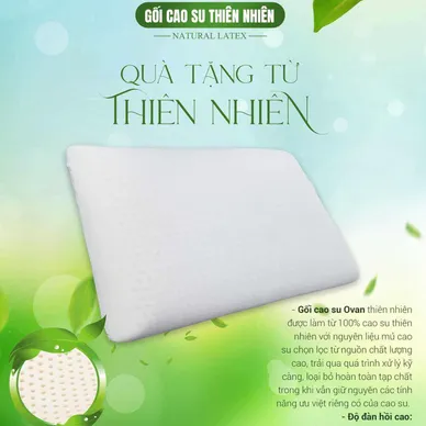 Gối Cao su Dreamland Ovan - Ảnh 2