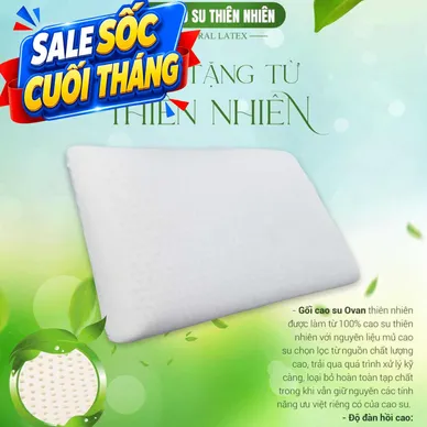 Gối Cao su Dreamland Ovan - Ảnh 2