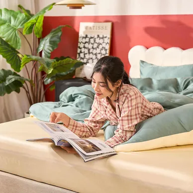 Bộ ga gối tencel cao cấp Goodnight Luxsilk - Ảnh 5