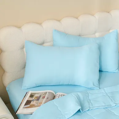 Vỏ gối tencel cao cấp Goodnight Airsilk - Ảnh 9