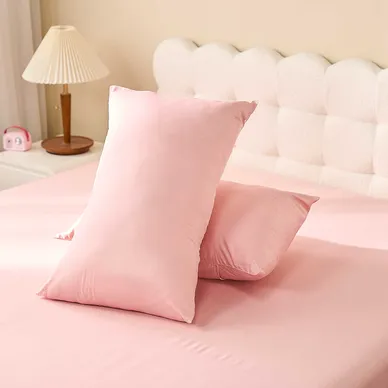 Vỏ gối tencel cao cấp Goodnight Airsilk - Ảnh 16