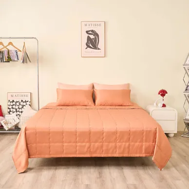 Chăn tencel cao cấp Goodnight Airsilk - Ảnh 5