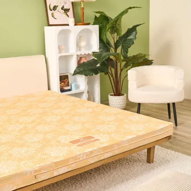 Nệm bông ép Wonjun Pure Carbon kháng khuẩn ưu việt dày 10cm gấp 2 - Ảnh 6