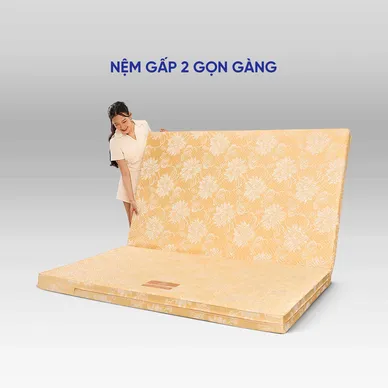 Nệm bông ép Wonjun Pure Carbon kháng khuẩn ưu việt dày 10cm gấp 2 - Ảnh 11