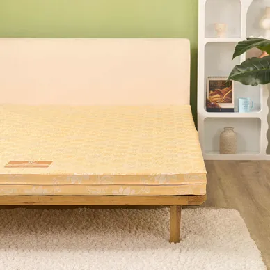 Nệm bông ép Wonjun Pure Carbon kháng khuẩn ưu việt dày 10cm gấp 2 - Ảnh 5