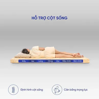 Nệm bông ép Wonjun Pure Carbon kháng khuẩn ưu việt dày 10cm gấp 2 - Ảnh 13