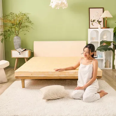 Nệm bông ép Wonjun Pure Carbon kháng khuẩn ưu việt dày 10cm gấp 2 - Ảnh 7