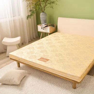 Nệm bông ép Wonjun Pure Carbon kháng khuẩn ưu việt dày 10cm gấp 2 - Ảnh 4