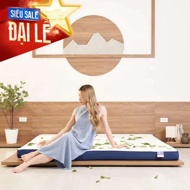 Nệm foam Goodnight Nagoya kháng khuẩn dày 12cm - Ảnh 2