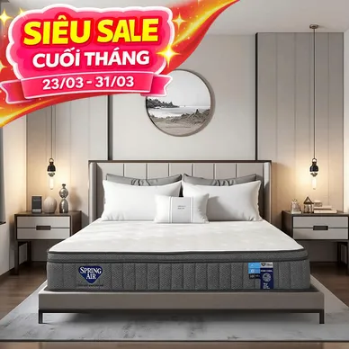 Nệm lò xo Spring Air Back Supporter Firm Cool nâng đỡ làm mát dày 26cm - Ảnh 2