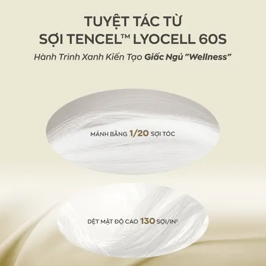 Bộ ga chun Amando Wellness Tencel Luxe - Ảnh 3