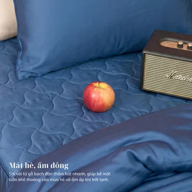 Bộ ga chun chần + chăn chần 5 món Amando Wellness Tencel Luxe, mềm mại, mịn mướt, thoáng mát vượt trội - Ảnh 3